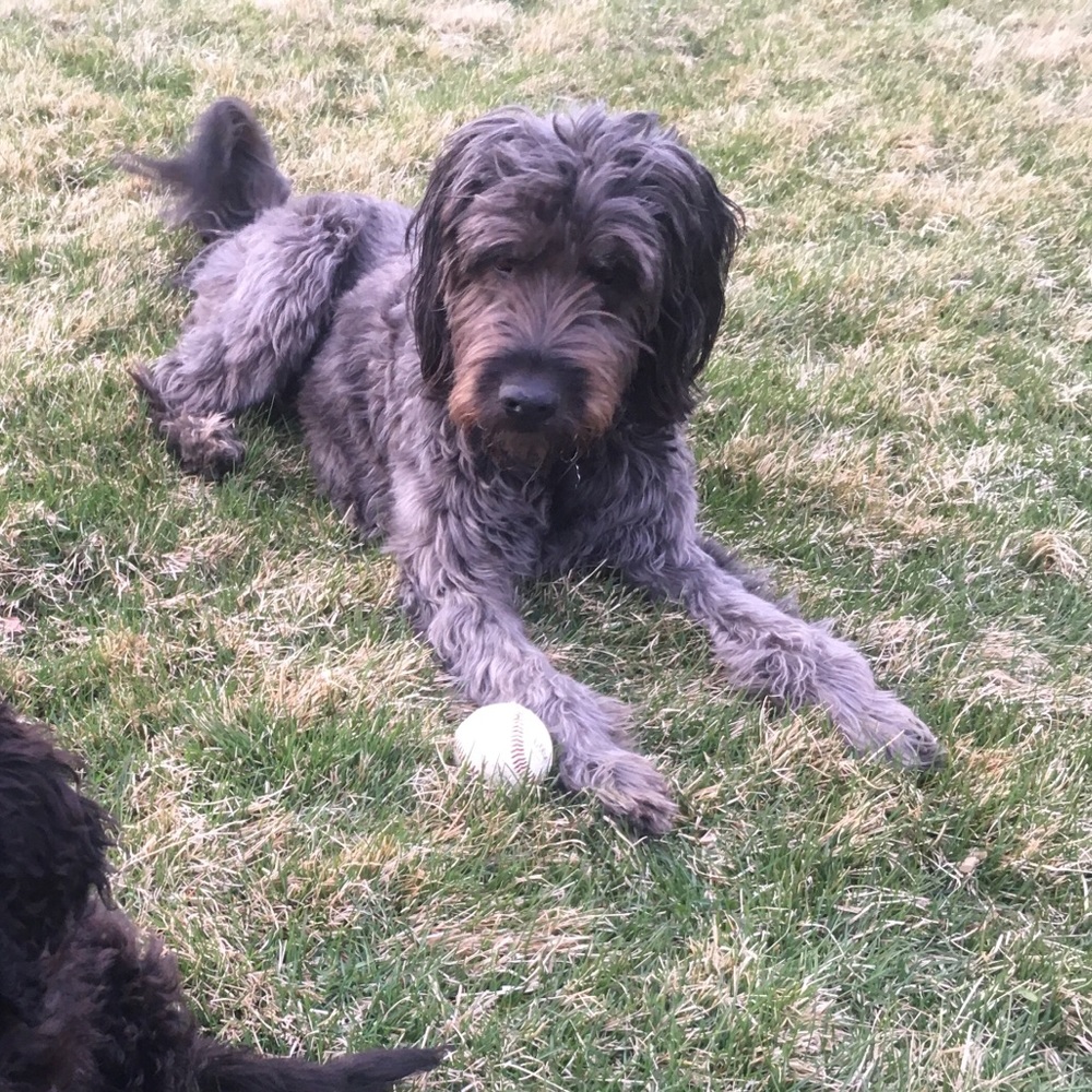 Meet your Posher, Ellie